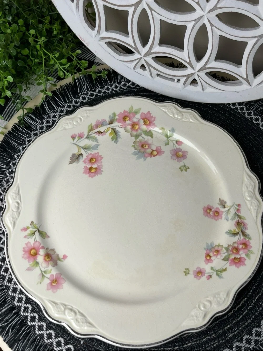 Homer Laughlin Virginia Rose JJ59 Dinner Plate Platinum Trim